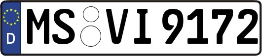 MS-VI9172