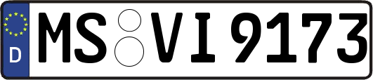 MS-VI9173