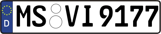 MS-VI9177