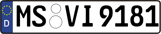 MS-VI9181