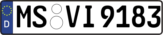 MS-VI9183