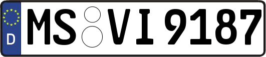 MS-VI9187
