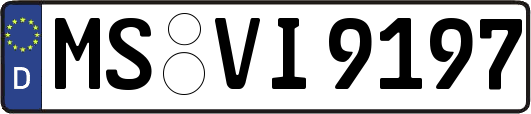 MS-VI9197