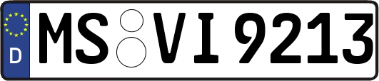MS-VI9213