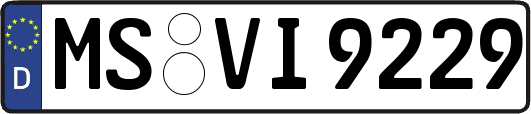 MS-VI9229