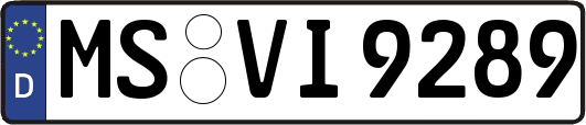 MS-VI9289