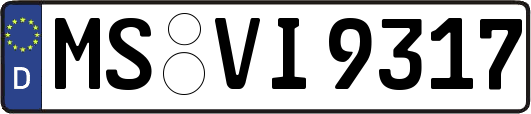 MS-VI9317
