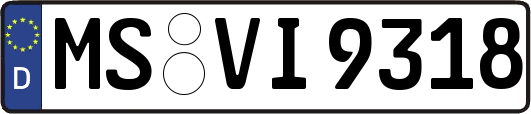 MS-VI9318