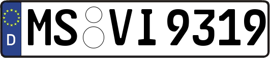MS-VI9319
