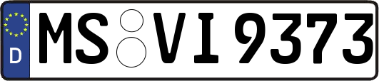 MS-VI9373