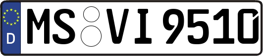 MS-VI9510