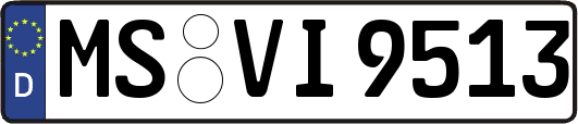 MS-VI9513
