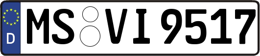 MS-VI9517