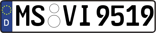 MS-VI9519