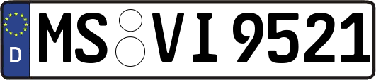 MS-VI9521