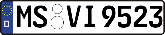 MS-VI9523