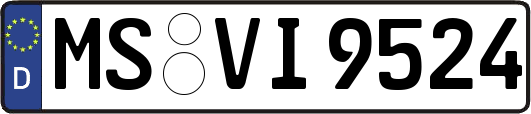 MS-VI9524