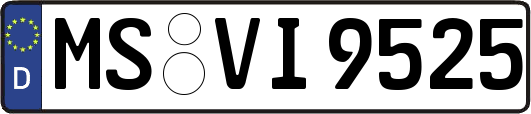 MS-VI9525