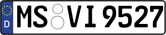 MS-VI9527