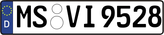 MS-VI9528