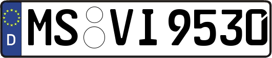 MS-VI9530