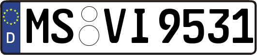 MS-VI9531
