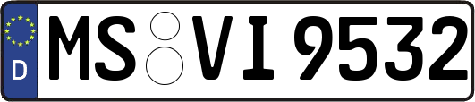 MS-VI9532