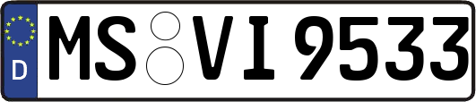 MS-VI9533