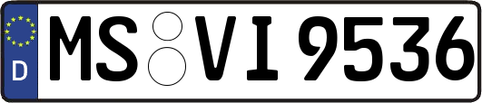 MS-VI9536