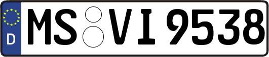 MS-VI9538