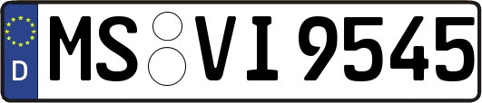MS-VI9545