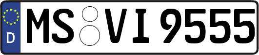 MS-VI9555