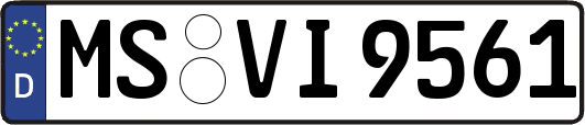 MS-VI9561