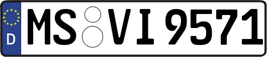 MS-VI9571