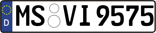 MS-VI9575