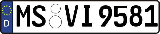 MS-VI9581