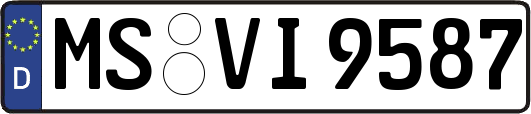 MS-VI9587