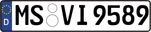 MS-VI9589