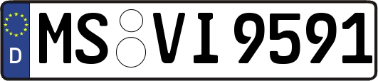 MS-VI9591