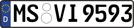 MS-VI9593