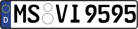 MS-VI9595