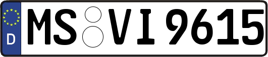 MS-VI9615
