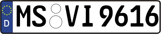 MS-VI9616