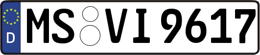MS-VI9617