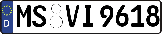 MS-VI9618