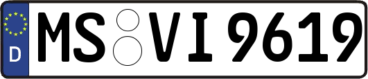 MS-VI9619