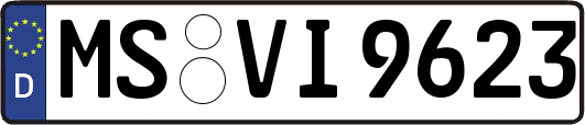 MS-VI9623