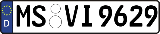 MS-VI9629