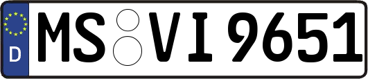 MS-VI9651