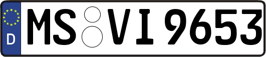 MS-VI9653